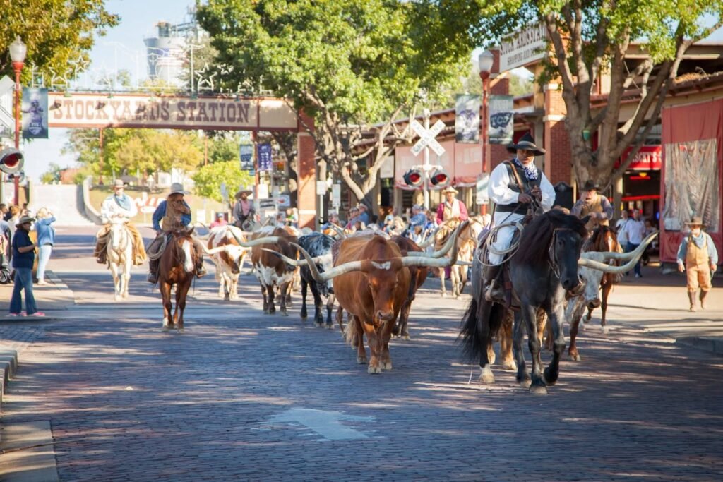 A parade of cowboys on horseback herding longhorn cattle through a street lined with historic buildings and spectators.