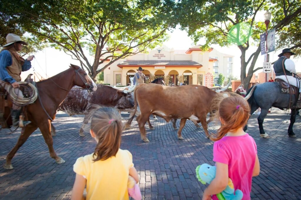 Cowboys on horseback herding cattle in a cobblestone plaza with children observing the scene.