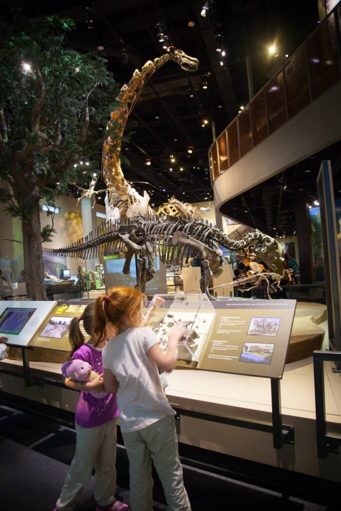 Children examining informational placards near a large dinosaur skeleton exhibit in a museum.