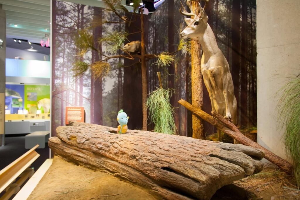 A lifelike museum diorama featuring a forest scene with a fallen log, a small bird, and a deer statue.