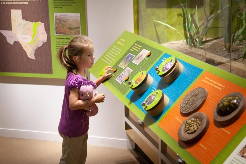 A child explores an interactive museum display with a map of Texas and ecological artifacts.