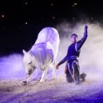 A horse and performer captured in a dramatic circus show with purple lighting and mist.