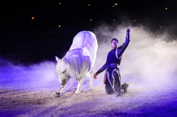 A horse and performer captured in a dramatic circus show with purple lighting and mist.