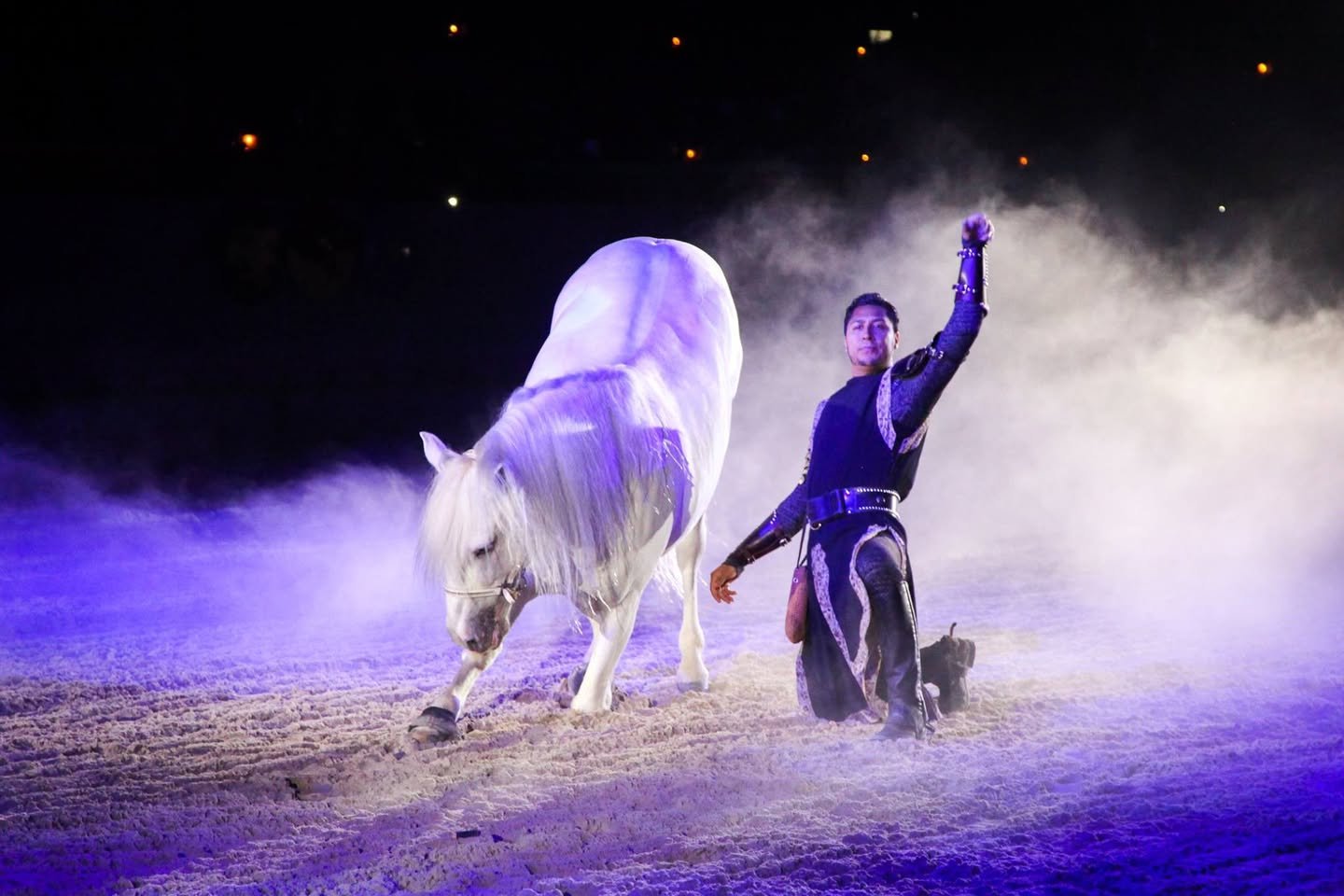 A horse and performer captured in a dramatic circus show with purple lighting and mist.