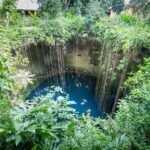 Aerial view of a tropical pool surrounded by hanging vines and dense greenery.