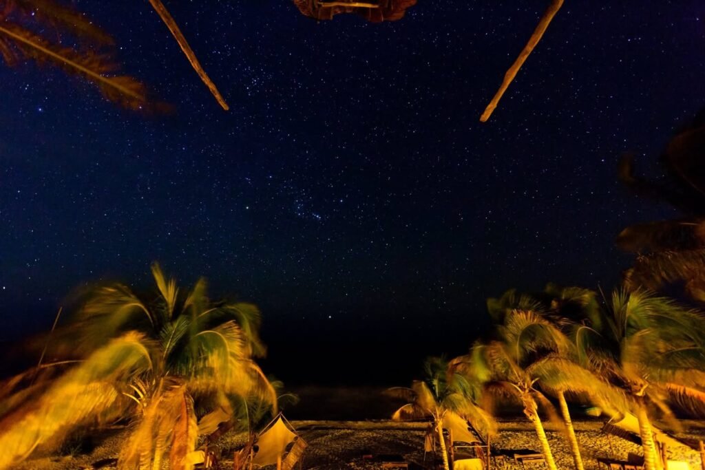 Dynamic night sky photo showing meteor trails above blurred tropical palms