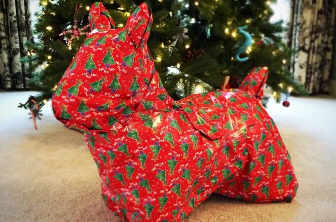 A gift wrapped in red festive paper shaped like a dog sits in front of a Christmas tree.