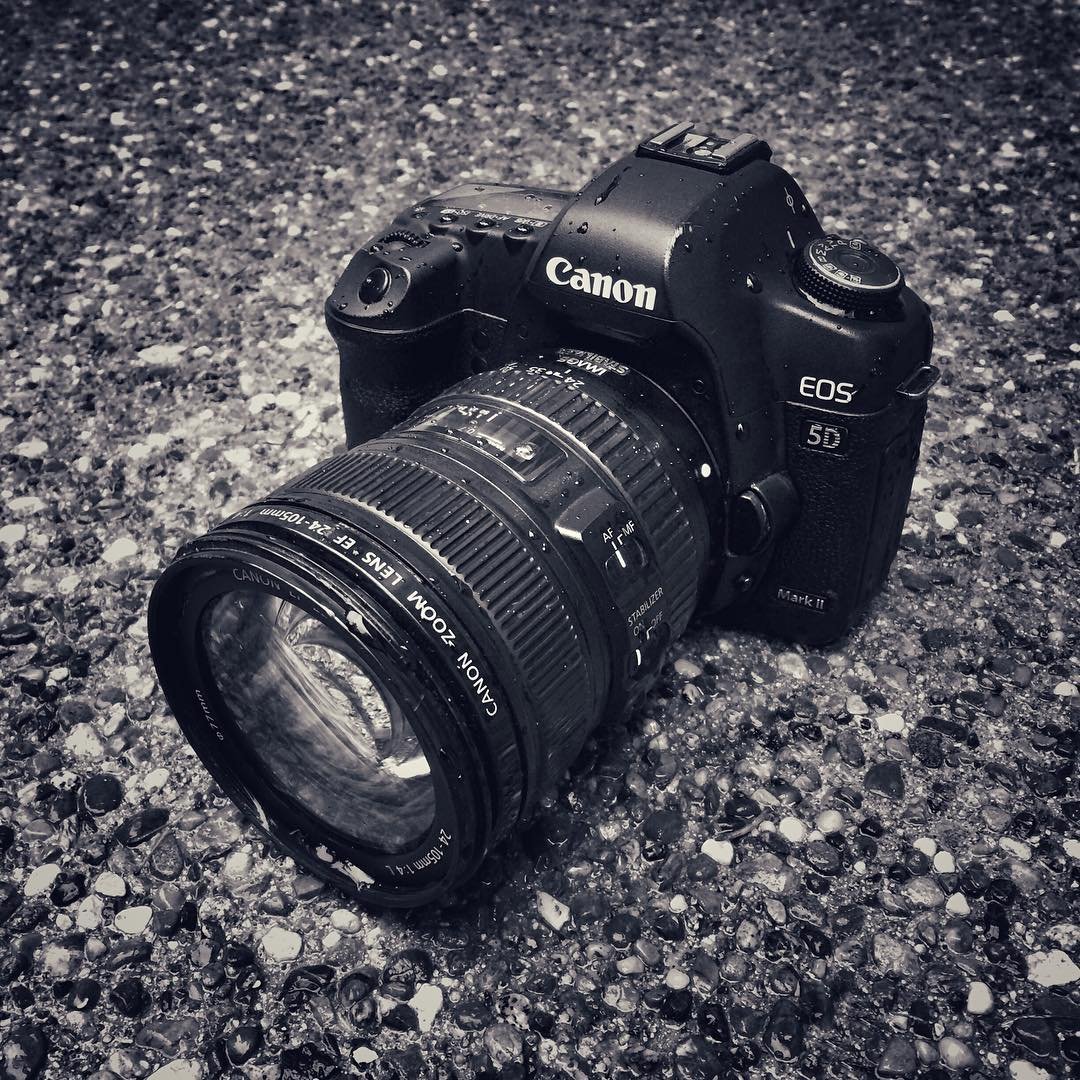 Camera Eulogy A Canon EOS 50 DSLR camera with a lens resting on a textured gravel surface.