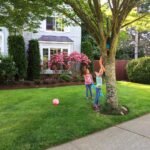 Two kids play with a ball in the backyard near a tree.