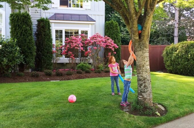 Two kids play with a ball in the backyard near a tree.