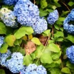Two smiling children peek through vibrant green leaves and blooming blue hydrangea flowers in a garden setting.