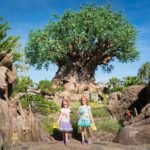Epcot