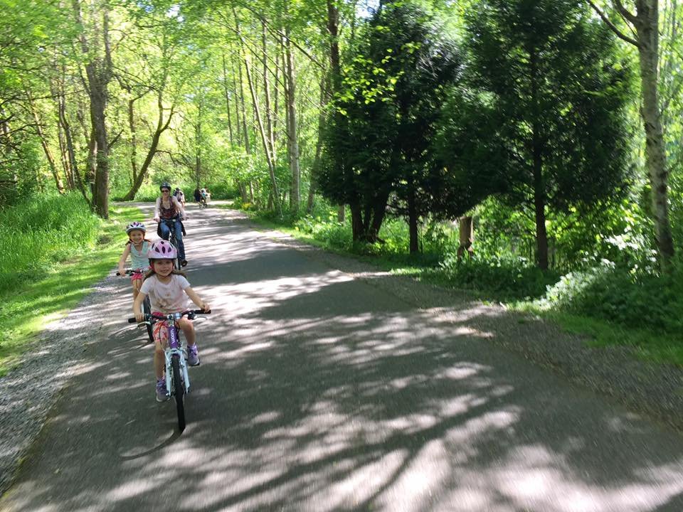 People riding bikes along a shaded forest trail. Tall trees line a gravel path in the woods.