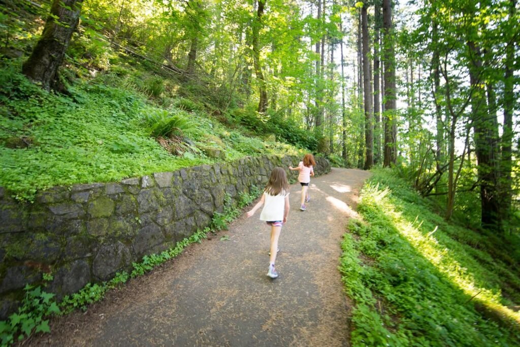 A paved trail winding through lush green forest with tall trees and a stone retaining wall.