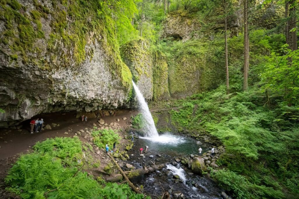 A waterfall cascades over rocks in a lush, moss-covered forest ravine surrounded by dense greenery.