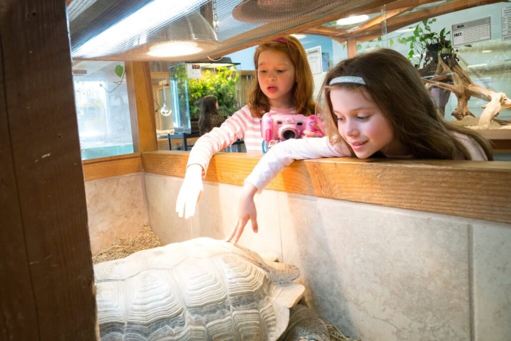 Children lean over a wooden ledge to feed a large tortoise. The setting includes natural lighting and indoor foliage.