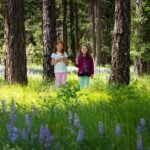 Bike Ride to Beardslee Pub Two children standing among wildflowers in a sunlit forest. Tall conifer trees frame the scene.