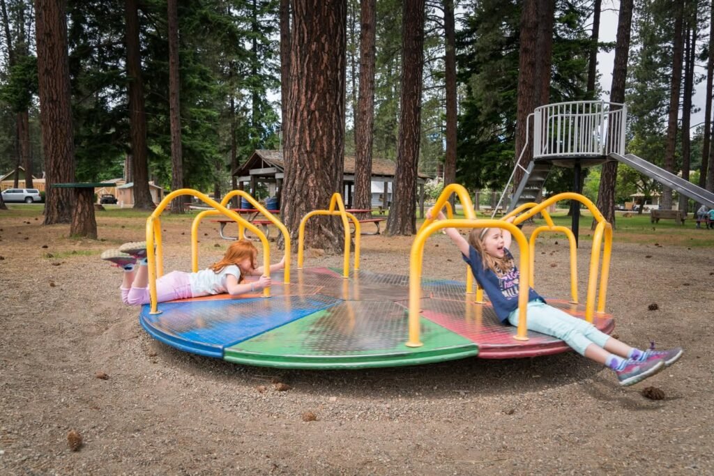 Children enjoying a colorful merry-go-round in a forested playground.