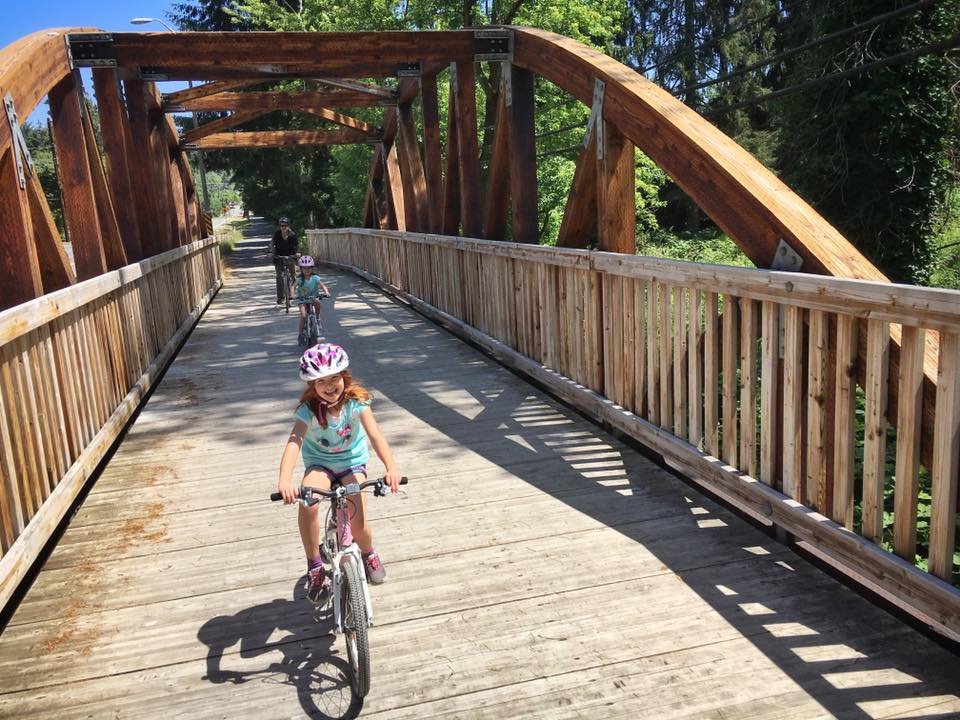 Cyclists on a sunny outdoor wooden arch bridge with tall green trees.
