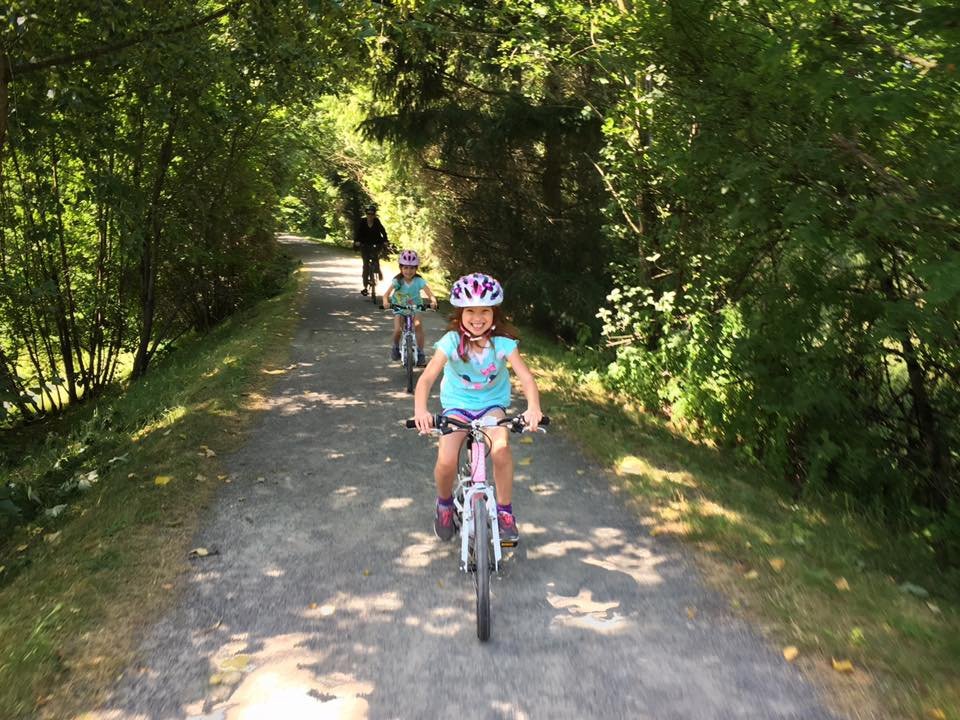 Cyclists riding bikes along a sunlit gravel trail in the woods, enjoying a scenic outdoor activity.