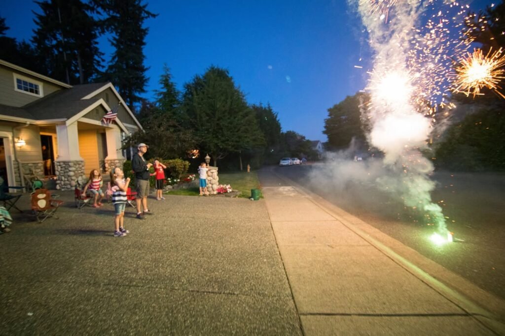 Lawn with people watching fireworks spark and illuminate the twilight sky.