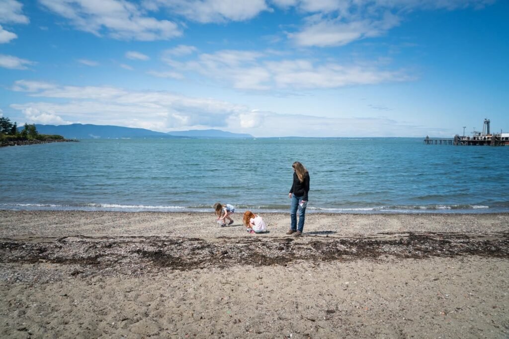 Two dogs and a woman on a sandy beach in Oregon. A pier is visible in the distance under a bright blue sky.