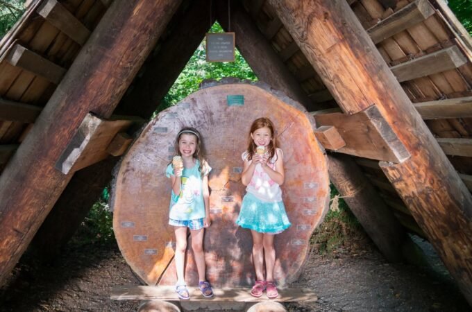 Two children stand under a rustic wooden A-frame structure with a circular cutout background.