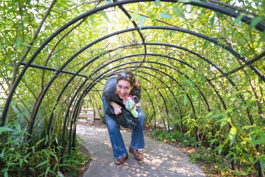 A person walks through a lush green bamboo tunnel structure at the Japan House gardens.