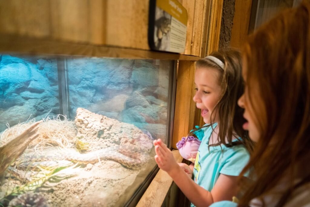 Visitors observing reptiles in a zoo or aquarium exhibit with naturalistic habitat and wooden framing.