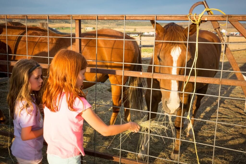 Children feed hay to brown horses through a metal fence at a rural farm.