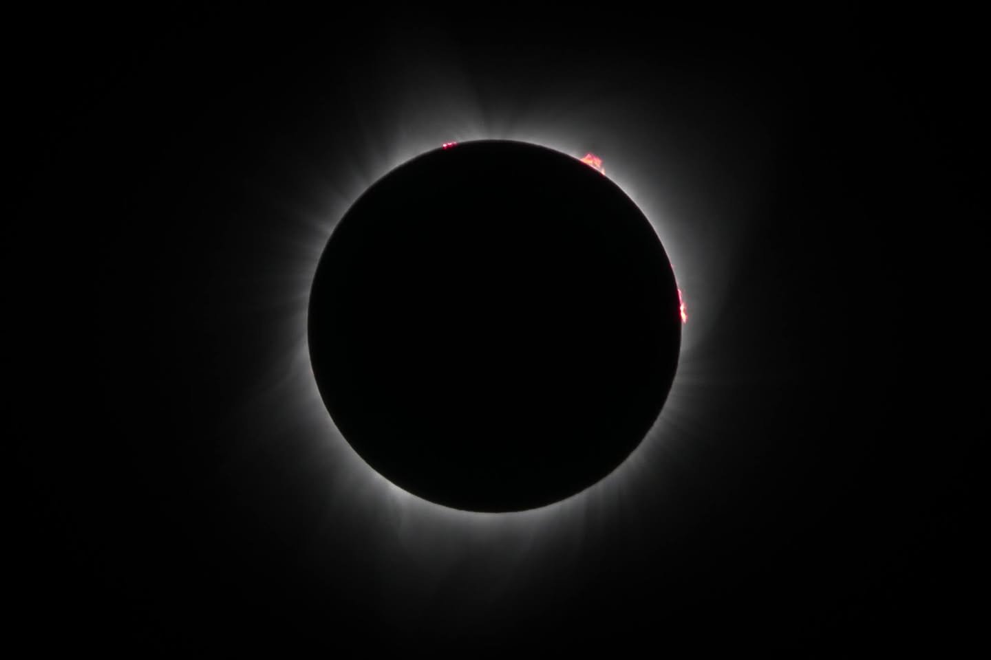The Eclipse A series of photos capturing the total solar eclipse, showcasing the moon covering the sun and the corona's glow.