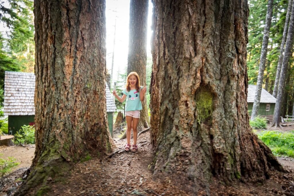 Hiking among massive redwood tree trunks in a Pacific Northwest forest park with historic buildings.
