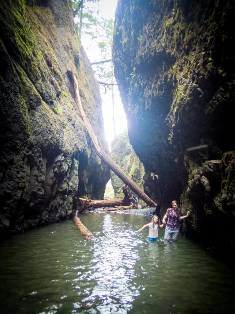 A striking view of a deep green gorge with calm waters and towering rock walls.