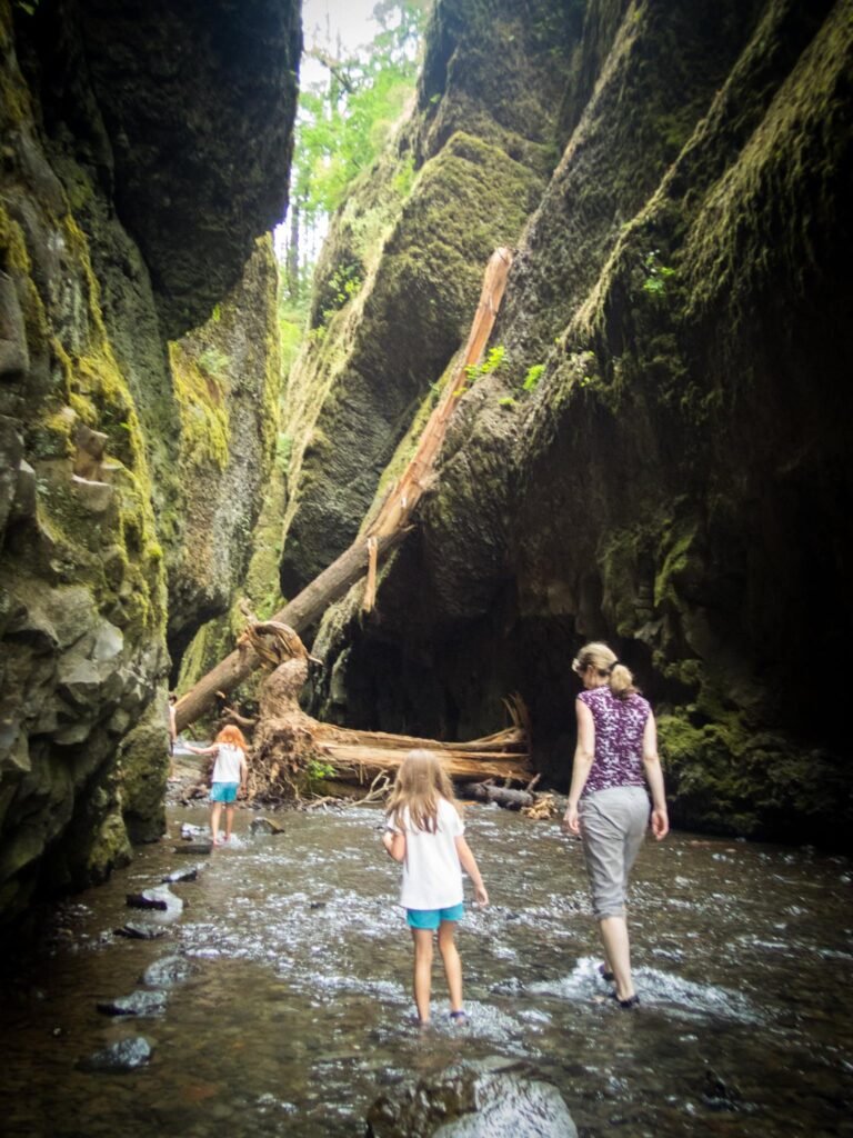 A group walks through a shallow stream inside a narrow, moss-covered gorge.