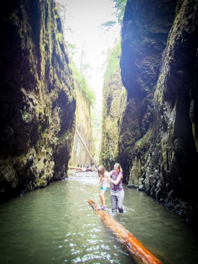 Two people exploring a narrow river canyon on a fallen log in a sunlit gorge.