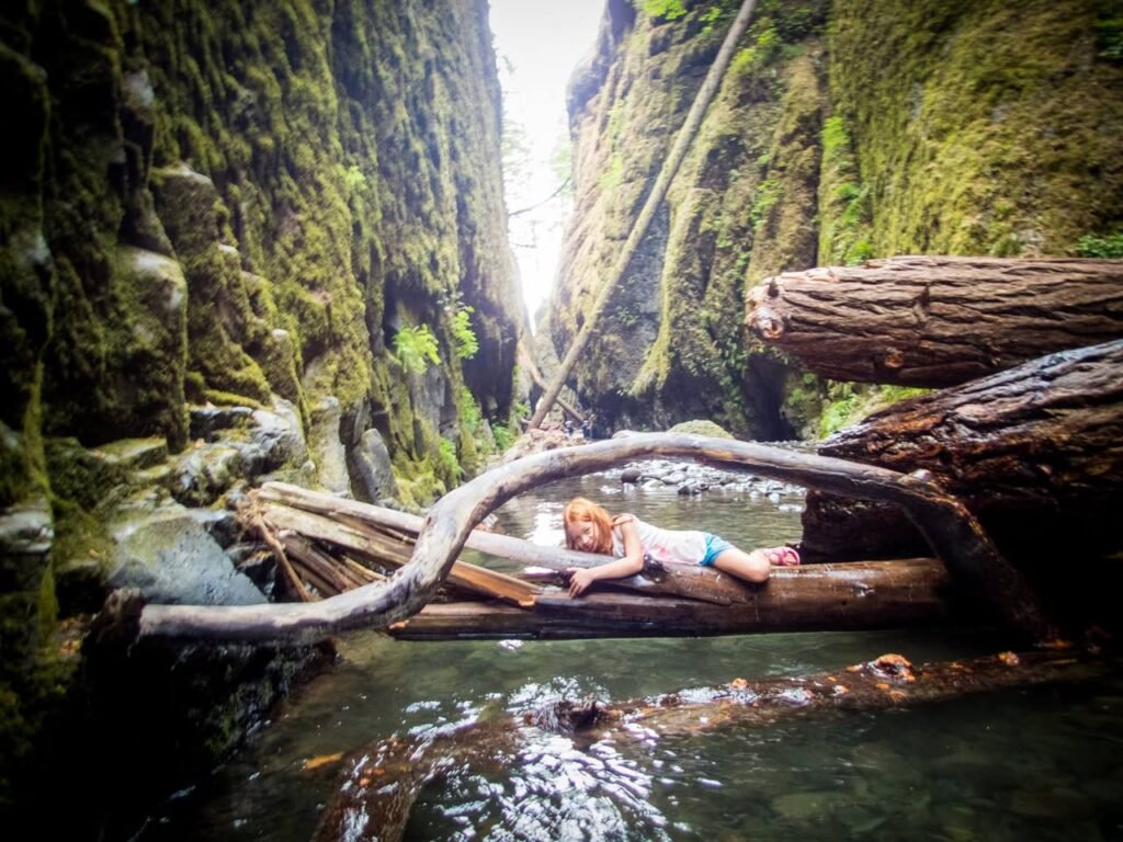 A person resting on a fallen log over a stream in a green, forested canyon.