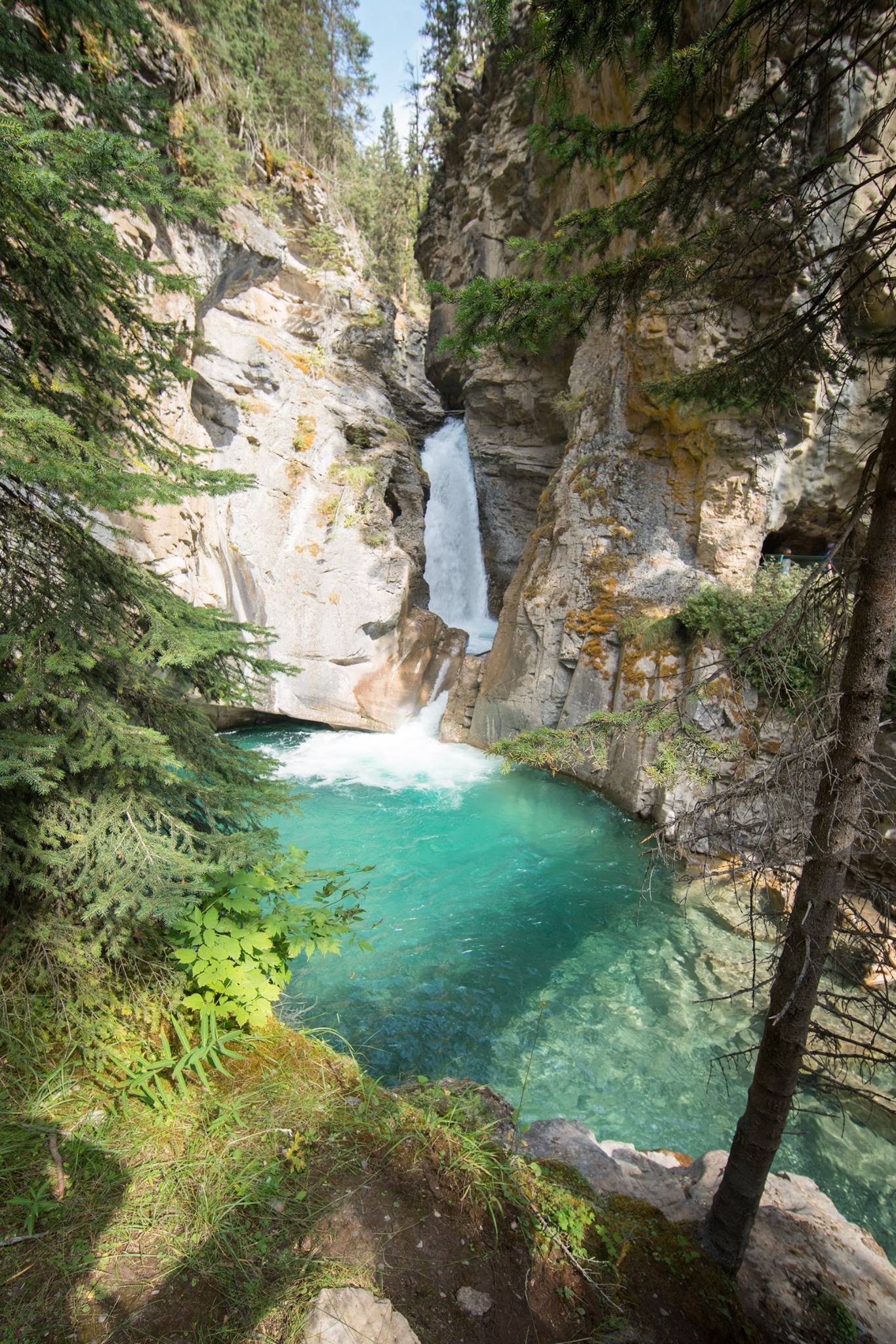 Johnston Canyon Hike A scenic view of a waterfall flowing into a vibrant turquoise pool surrounded by rocky cliffs and lush green trees.