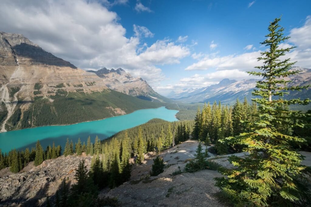 A high summit overlooks a vibrant turquoise mountain lake nestled among evergreen forests. The rocky terrain nearby contrasts sharply with the calm blue water and surrounding peaks.