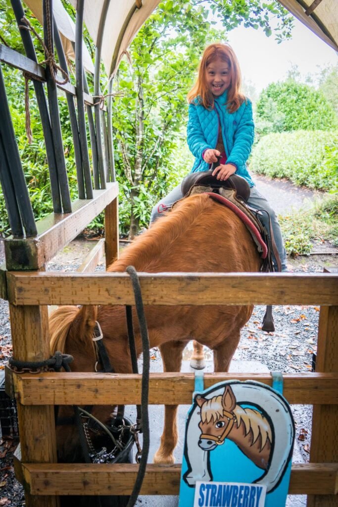 A child riding a sorrel horse in a rustic wooden arena with a pony sign visible in the foreground.
