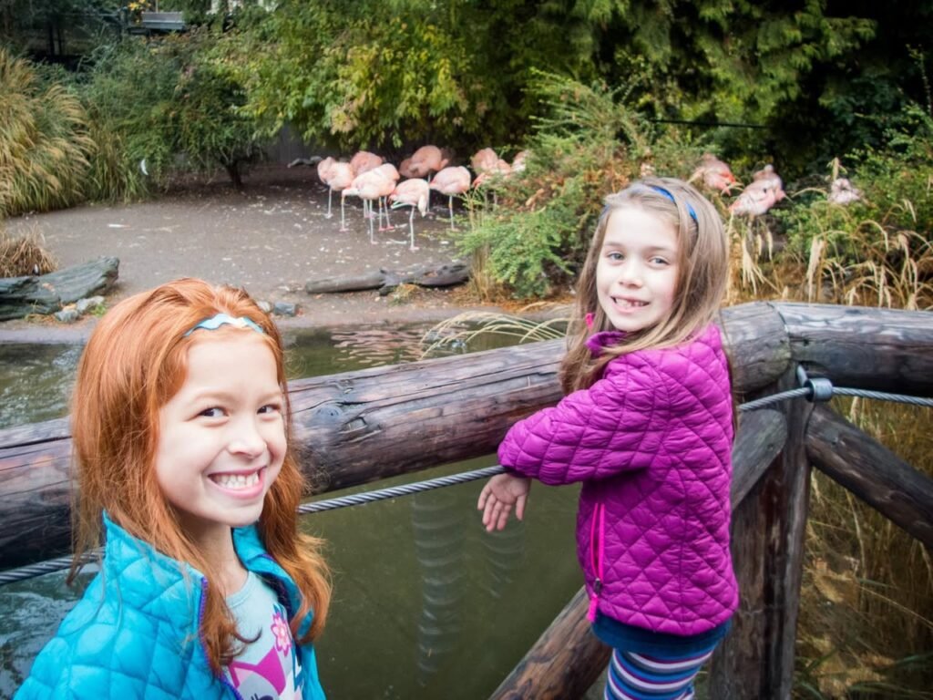 Two smiling children in bright jackets stand at a wooden railing watching a flock of pink flamingos at the zoo enclosure.