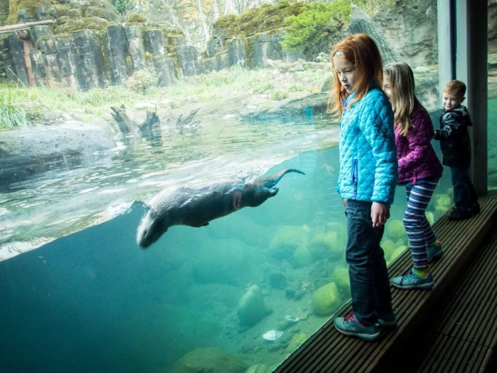 A family watches a whale lunge through clear turquoise water via a large glass viewing window at an aquarium in the Pacific Northwest.