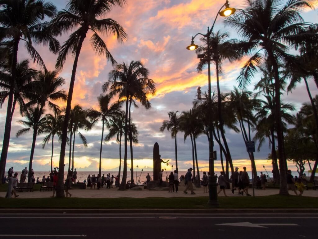 A collage of images featuring silhouetted palm trees against a vibrant sunset sky, with a streetlamp glowing softly in the warm evening light.