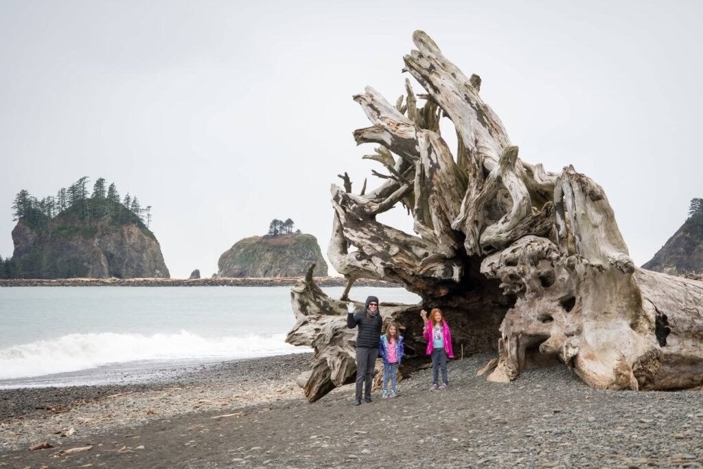 A family stands on a gravel beach near large driftwood arches with rocky sea stacks in the background. The scene captures a serene coastal environment typical of the Pacific Northwest.