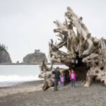 A family stands on a gravel beach near large driftwood arches with rocky sea stacks in the background. The scene captures a serene coastal environment typical of the Pacific Northwest.