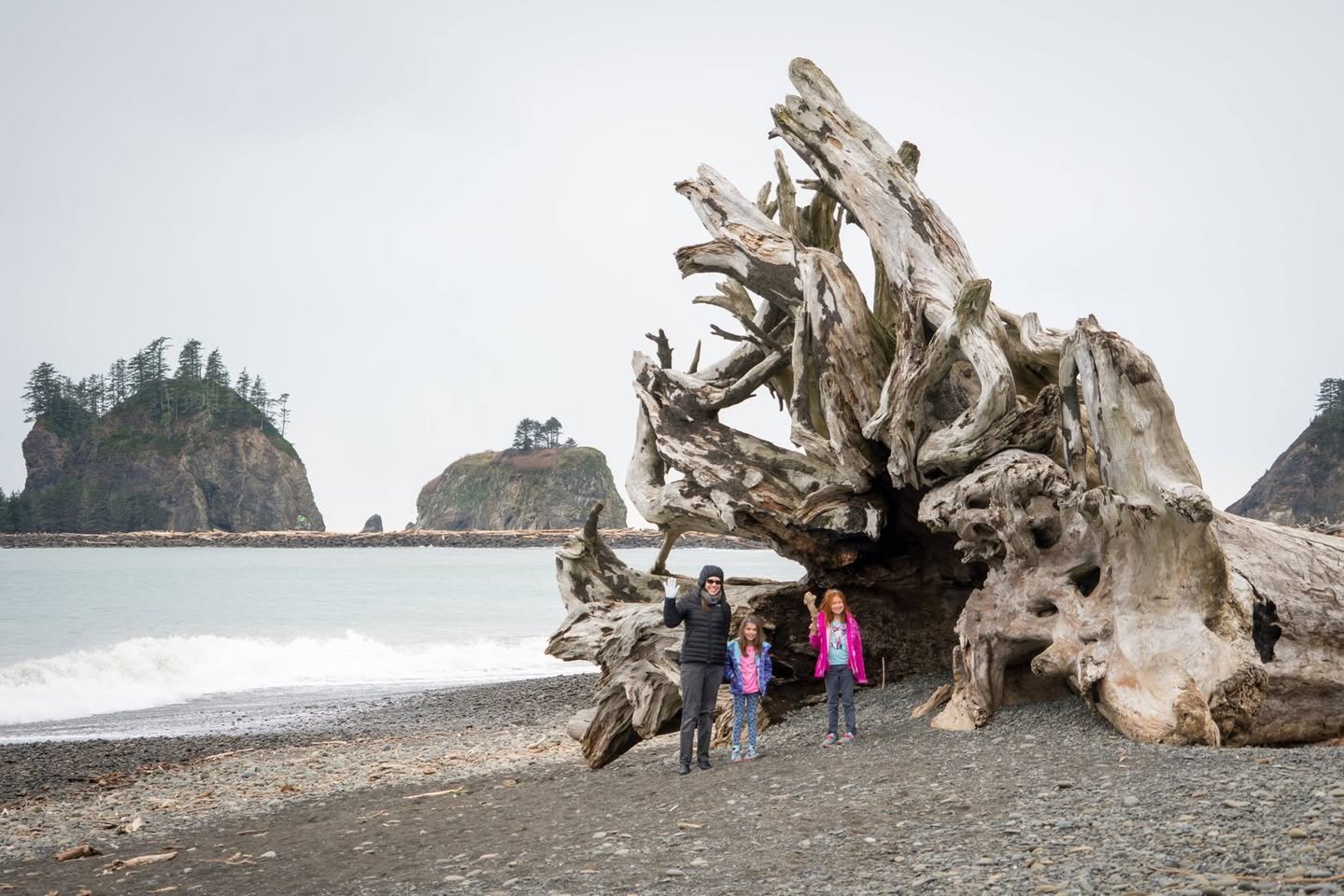 La Push A family stands on a gravel beach near large driftwood arches with rocky sea stacks in the background. The scene captures a serene coastal environment typical of the Pacific Northwest.