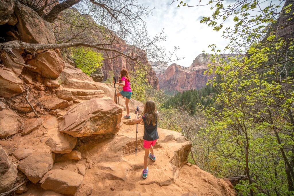 Hikers with trekking poles navigating a rocky trail through a deep red rock canyon. Lush green trees and shrubs line the path, reflecting the area's natural beauty.