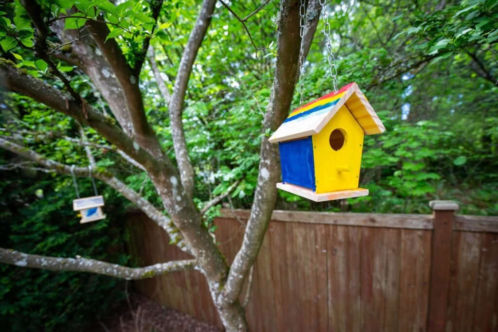A bright yellow and blue birdhouse hanging from a tree branch in a lush green backyard.