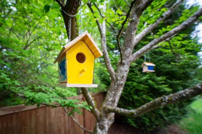 A yellow birdhouse with a wooden roof and perch hangs from a tree in a lush green garden.