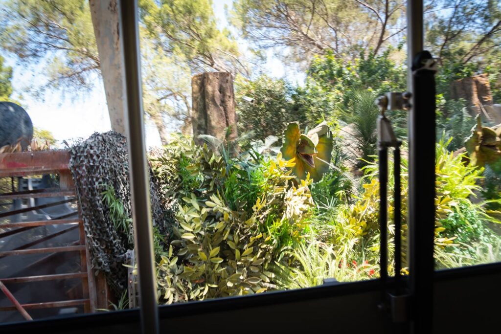 Scenic view of lush green vegetation and rock formations through a safari bus window.