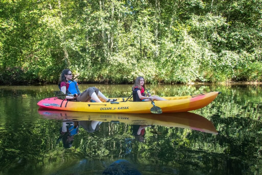 A colorful kayak floats on a calm, reflective pond surrounded by lush greenery.